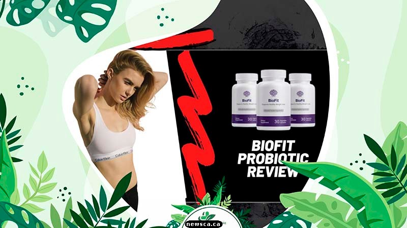 BioFit's Mechanisms for Weight Loss Support