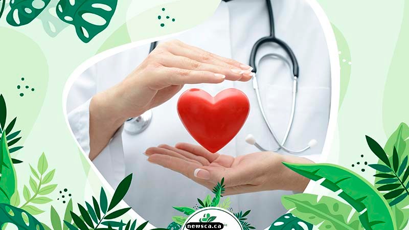 Cardiovascular Health Support